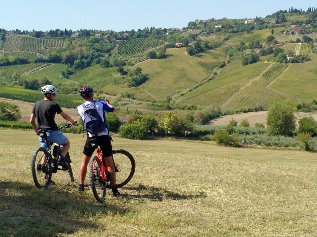 Bike & Co